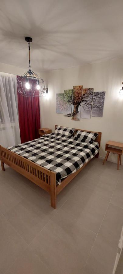 University Apartment Baia Mare Exteriör bild